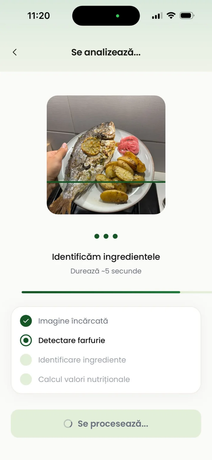 AI Food Scan analyzing a photo of a meal